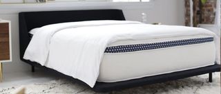 The image shows a white mattress with a navy blue trim placed on a dark blue bed foundation in a white bedroom