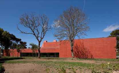 A reddish concrete building with blue skies and trees in the background and leafless trees in front of the building