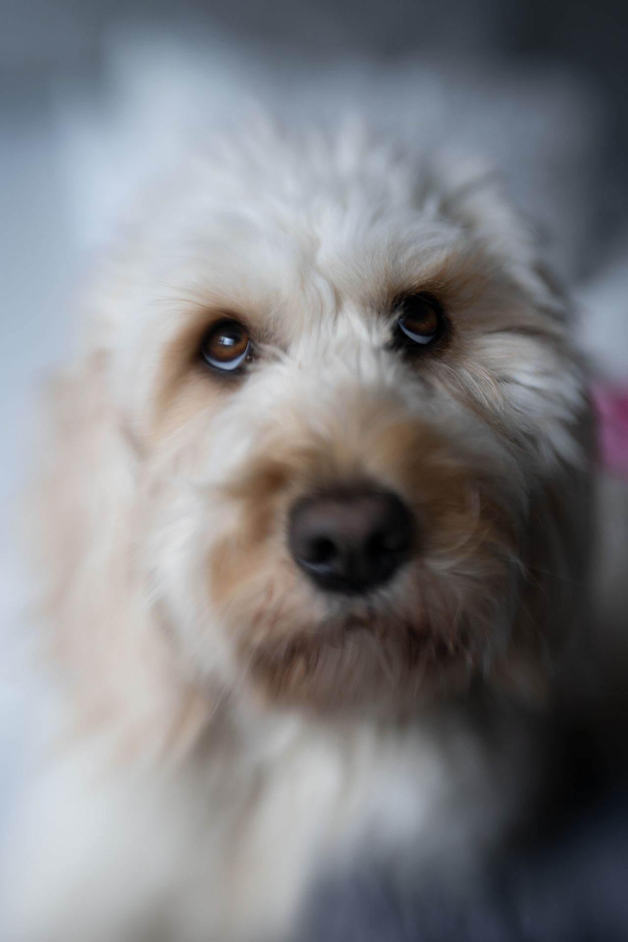 Lensbaby Double Glass II Optic review
