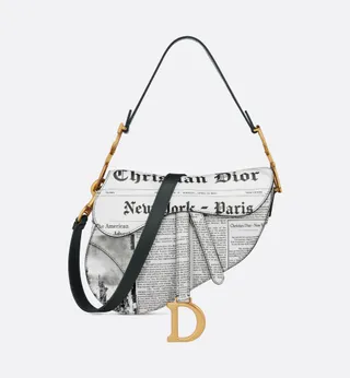 Dior saddle bag