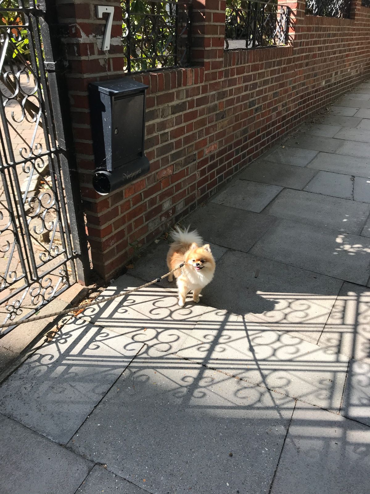 iPhone 7 camera samples taken in Hampstead