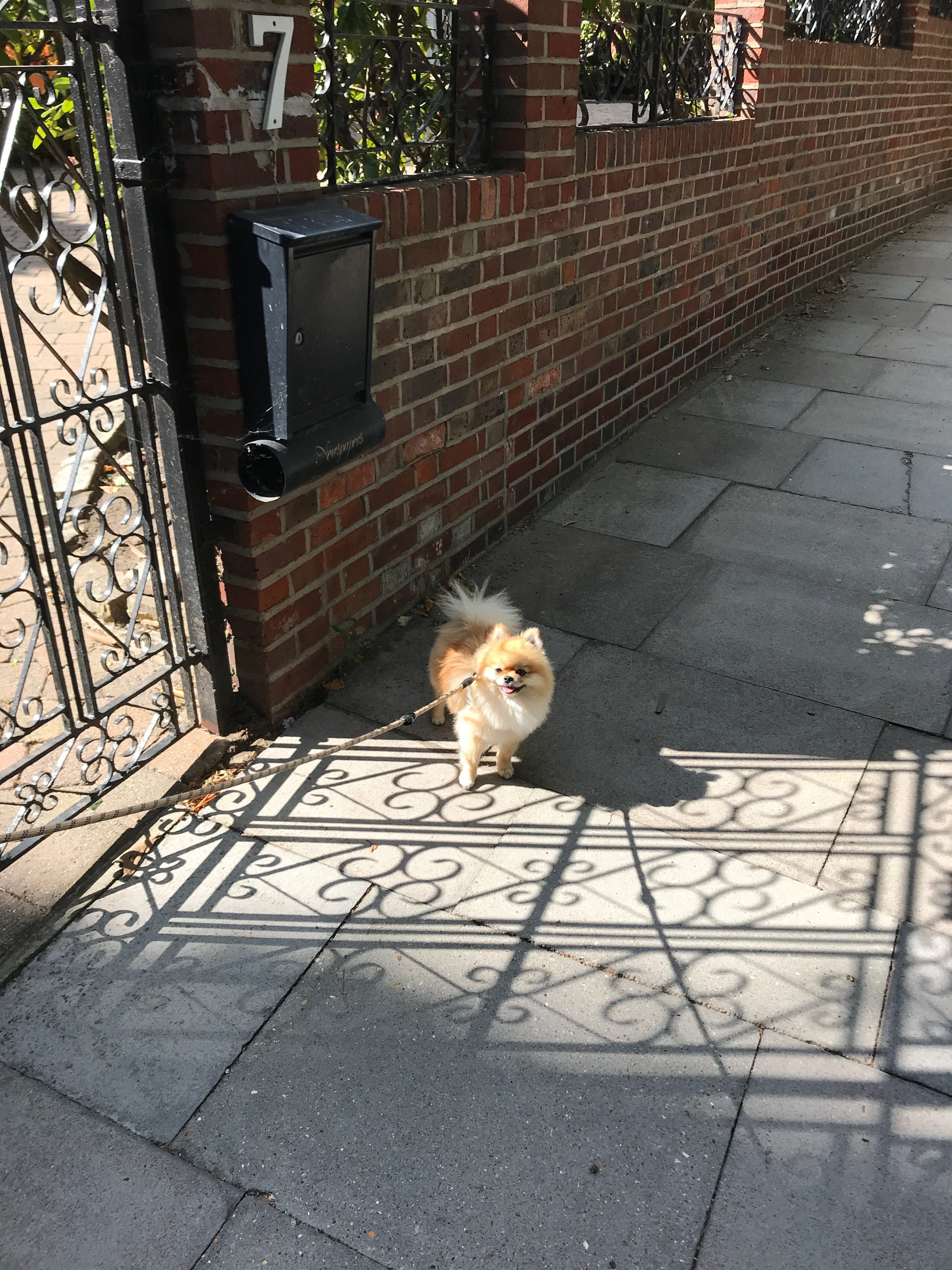 Muestras de cámara del iPhone 7 tomadas en Hampstead