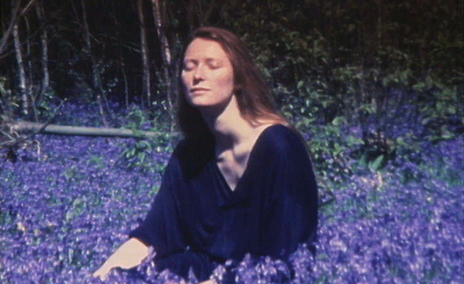 tilda swinton in bluebell field