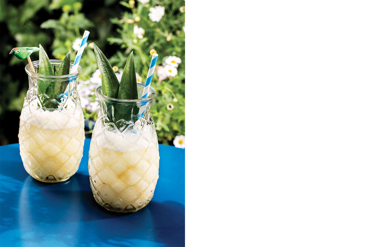 Pina-colada_Louise-Haywood-Schiefer.jpg