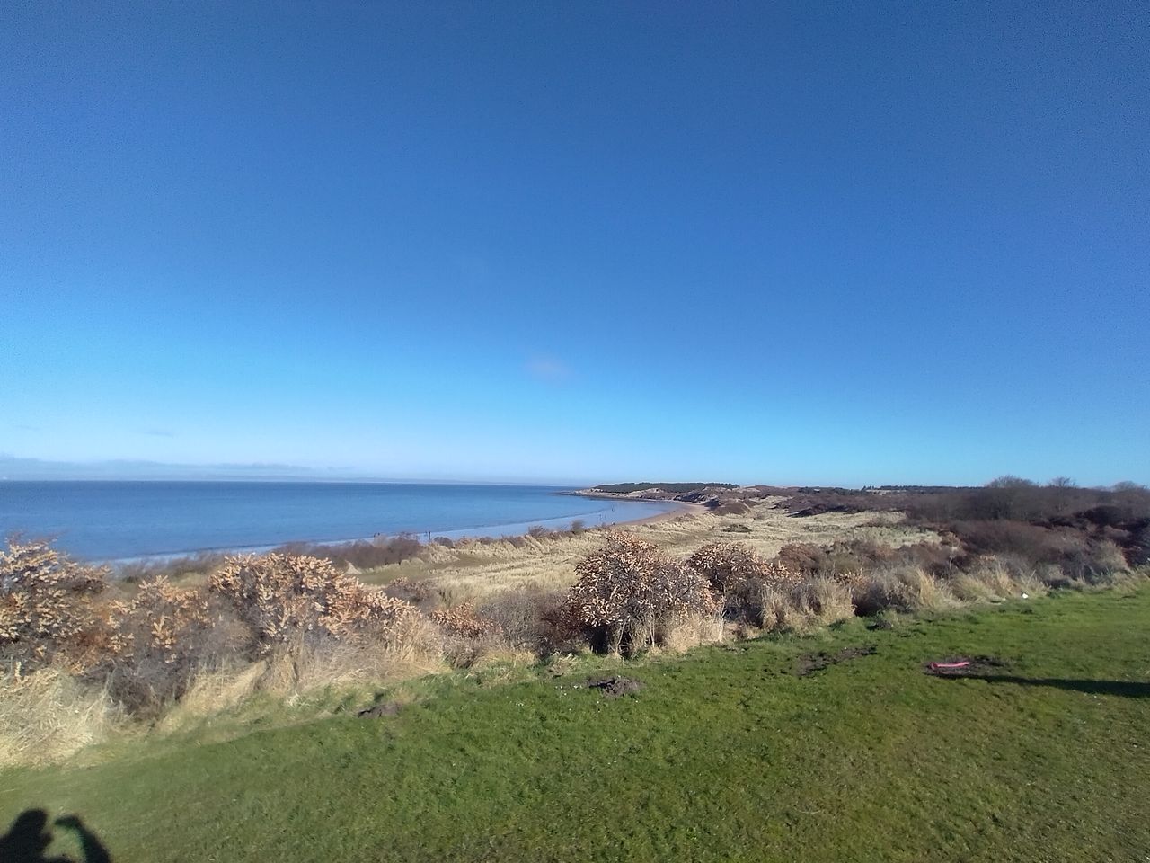 Nokia 5.4 camera sample