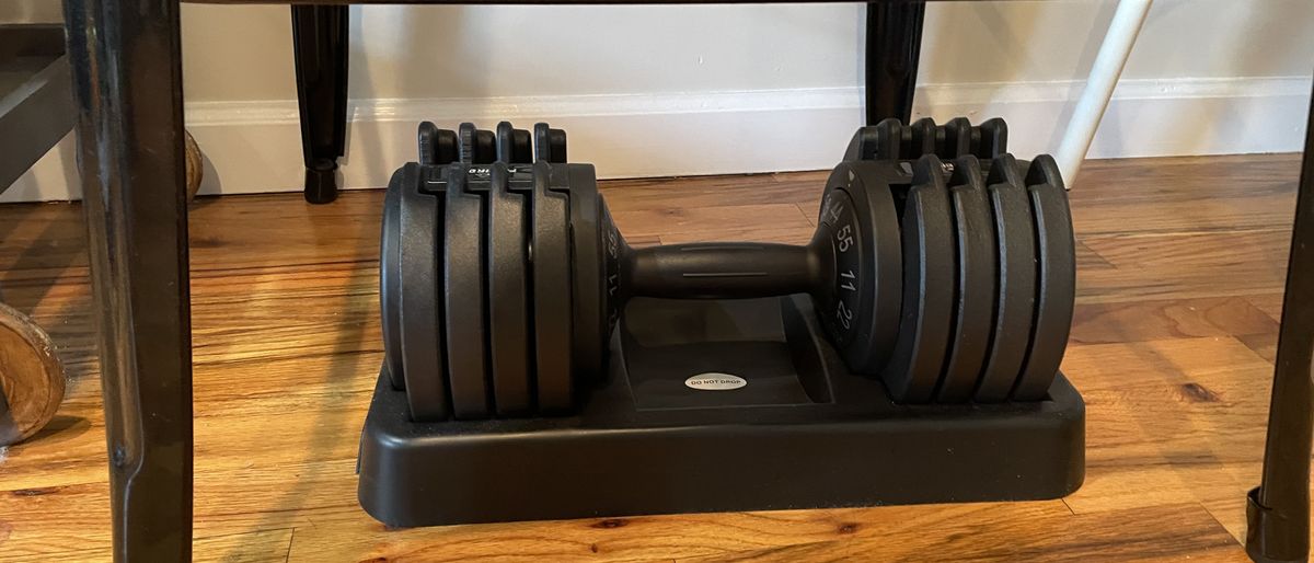 Flybird 25 lb ADJUSTABLE WEIGHTS 5 in 1 Dumbbell Review 