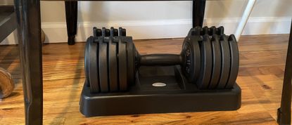 Flybird Adjustable Dumbbell on Wooden floor