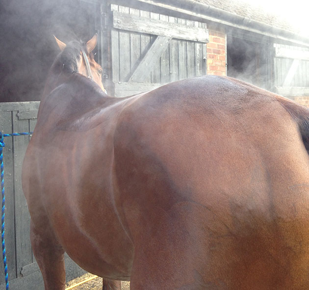 Hilly steaming after a work out