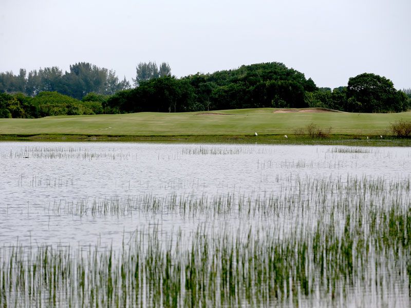 Rio olympic golf course