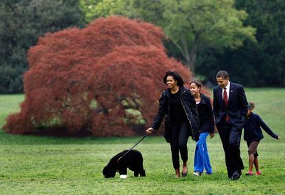 The Obamas with their dog, Bo