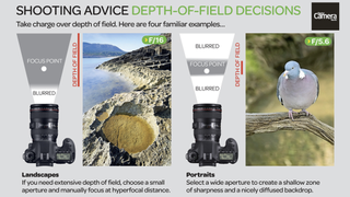 Photography cheat sheet: Depth-of-field decisions