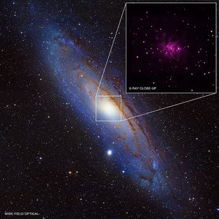 Trove of Black Holes Found in Andromeda Galaxy