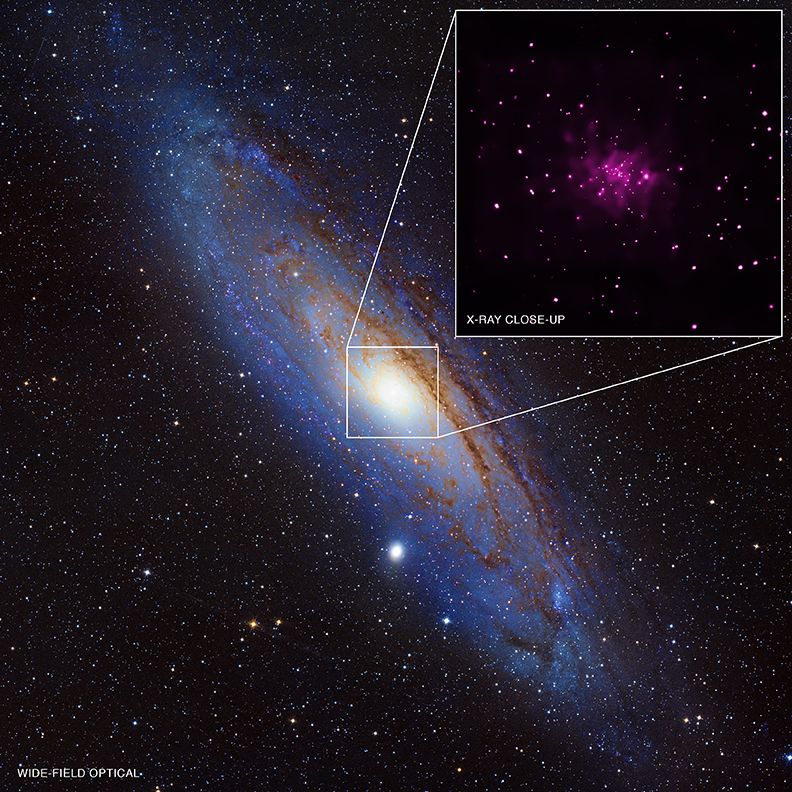 Trove of Black Holes Found in Andromeda Galaxy