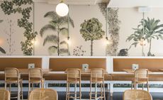  Botanical paintings on the wall