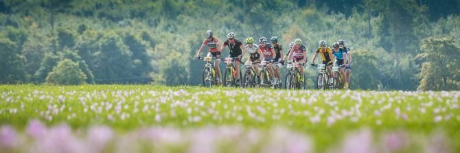 A group of racers