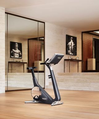 Home gym ideas with mirror wall