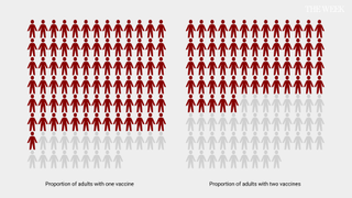 Covid vaccines graphic