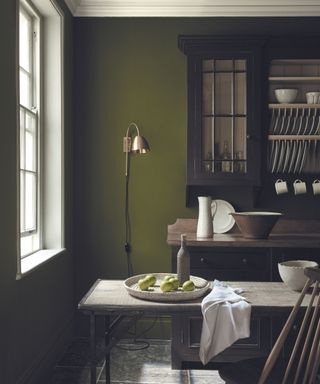 Kitchen with walls in Jewel Beetle by Little Greene