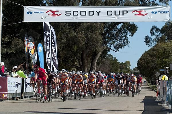 The peloton make their way down the home straight in Robinvale.