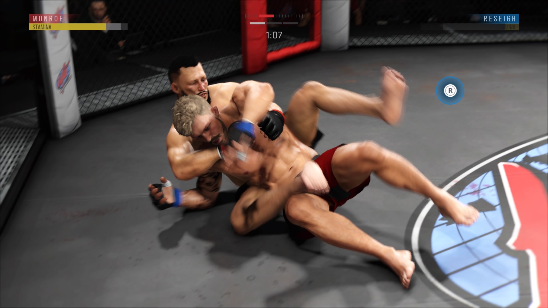 Image result for UFC 3 grappling
