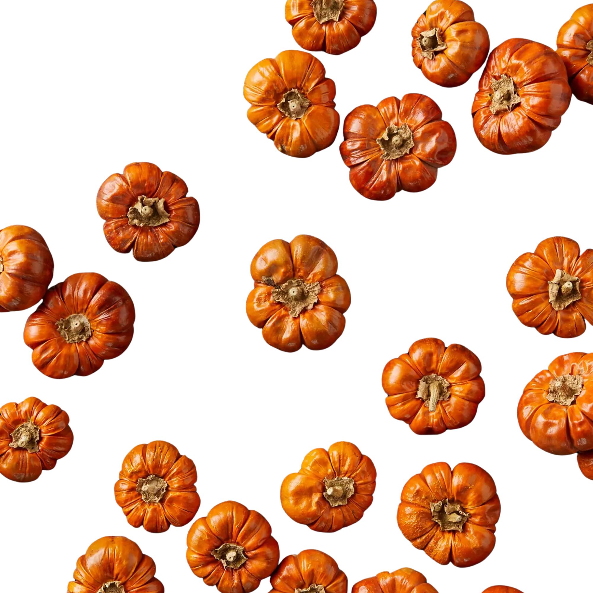 Preserved mini pumpkins