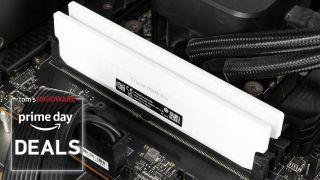 Crucial DDR5 Pro Memory