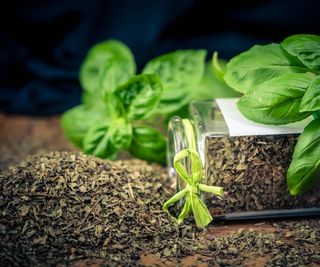 Dried basil on a table and in a glass jar, with fresh basil leaves on top