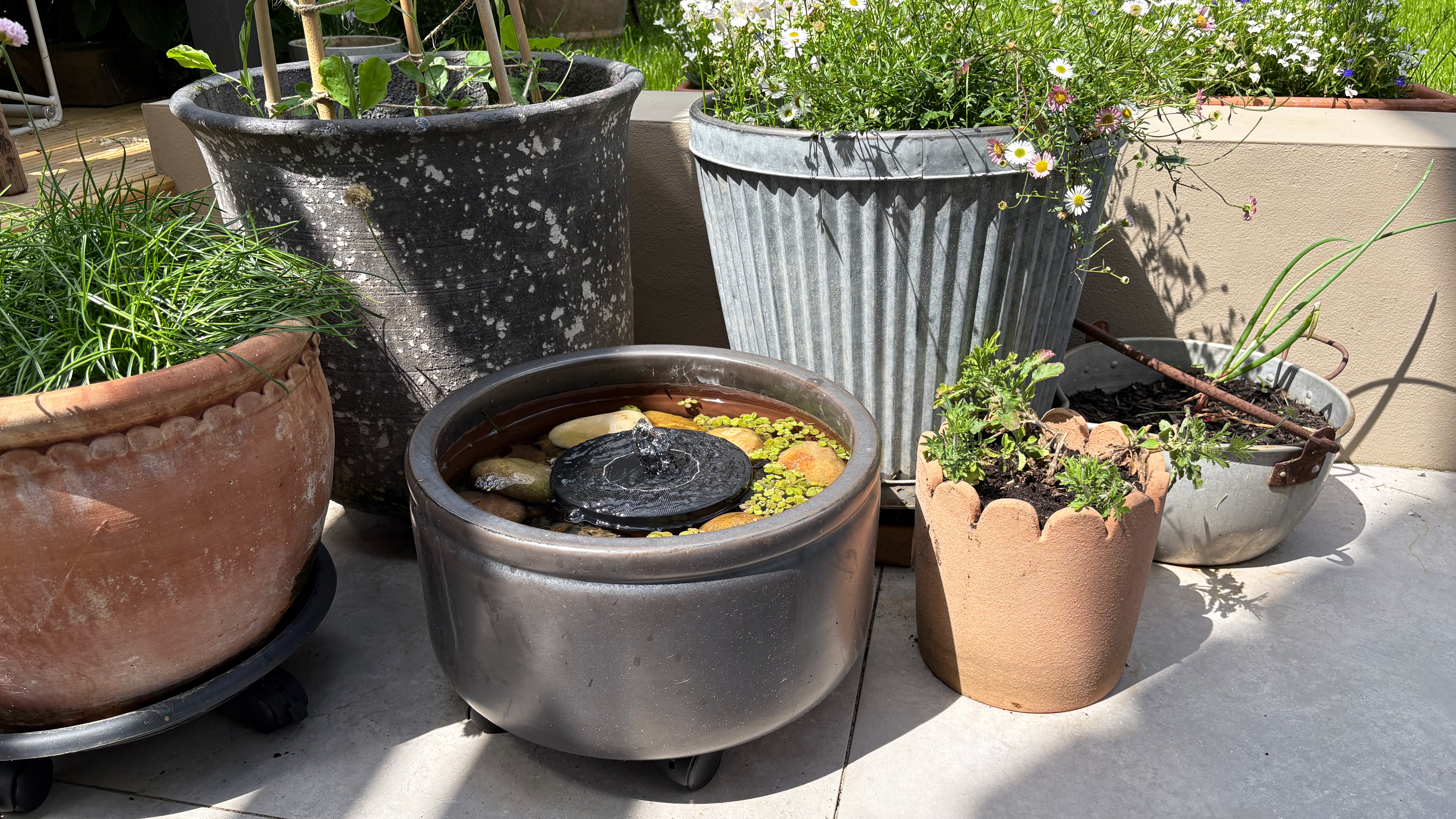 collection of planters on a grey paved patio with one of them filled with water and topped with a solar water fountain