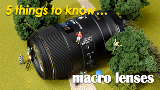 5 tips for choosing and using… macro lenses