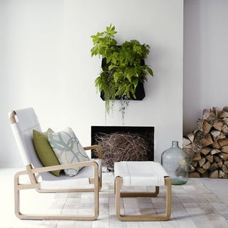 room with white wall having green plants in vertical wall hangers