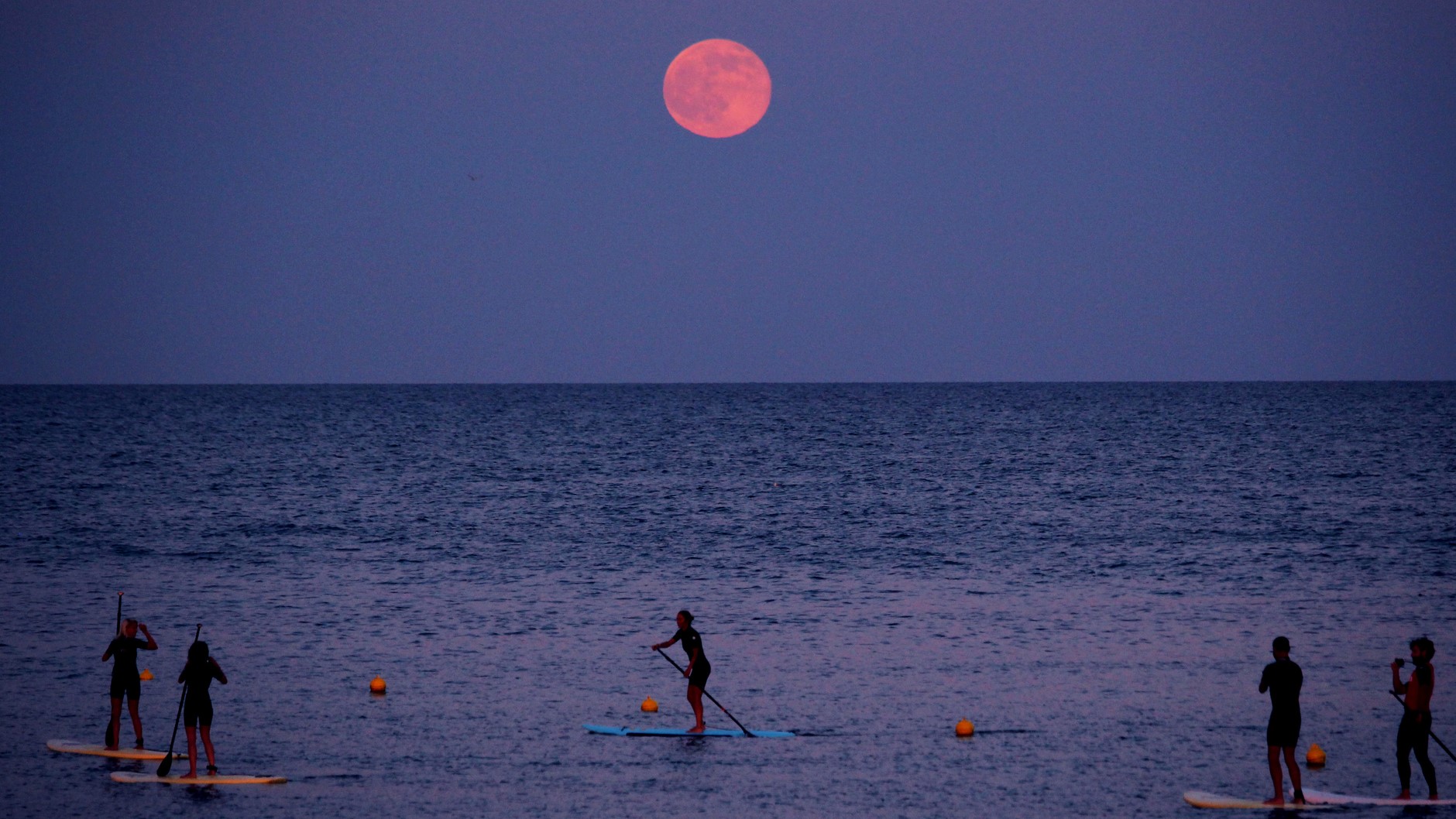 Strawberry Moon 2022 Germany Trending 2147xo
