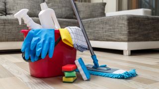 Household cleaning items