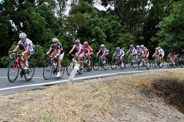 The bunch, led by Carlee Taylor (Tibco) on the climb of Mount Bunninyong