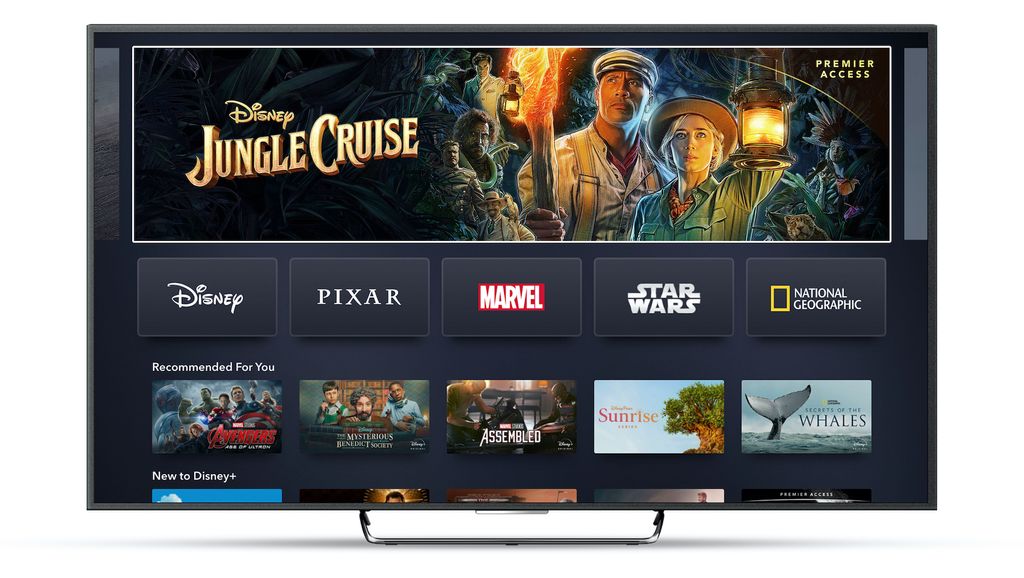 Disney Plus price what does the streaming service cost? What to Watch