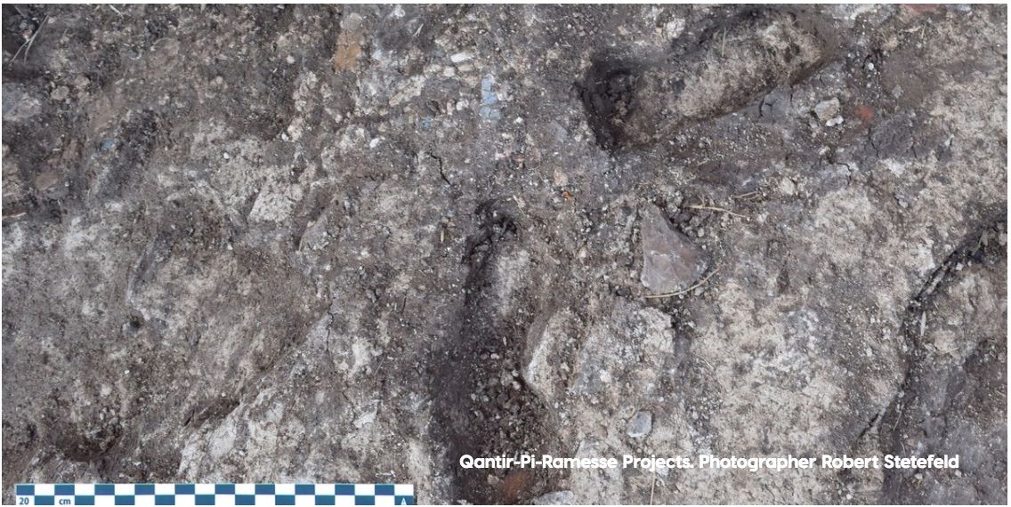 3,000-year-old footprints Child footprints