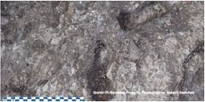 3,000-year-old footprints Child footprints