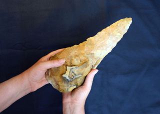 A person holds a prehistoric hand ax with two hands against a blue background.