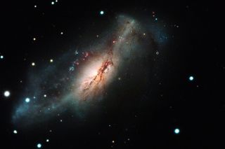 This composite image from the Hubble Space Telescope and Las Cumbres Observatory shows the electron-capture supernova 2018zd (large white dot on right) and the starburst galaxy NGC 2146 on the left.