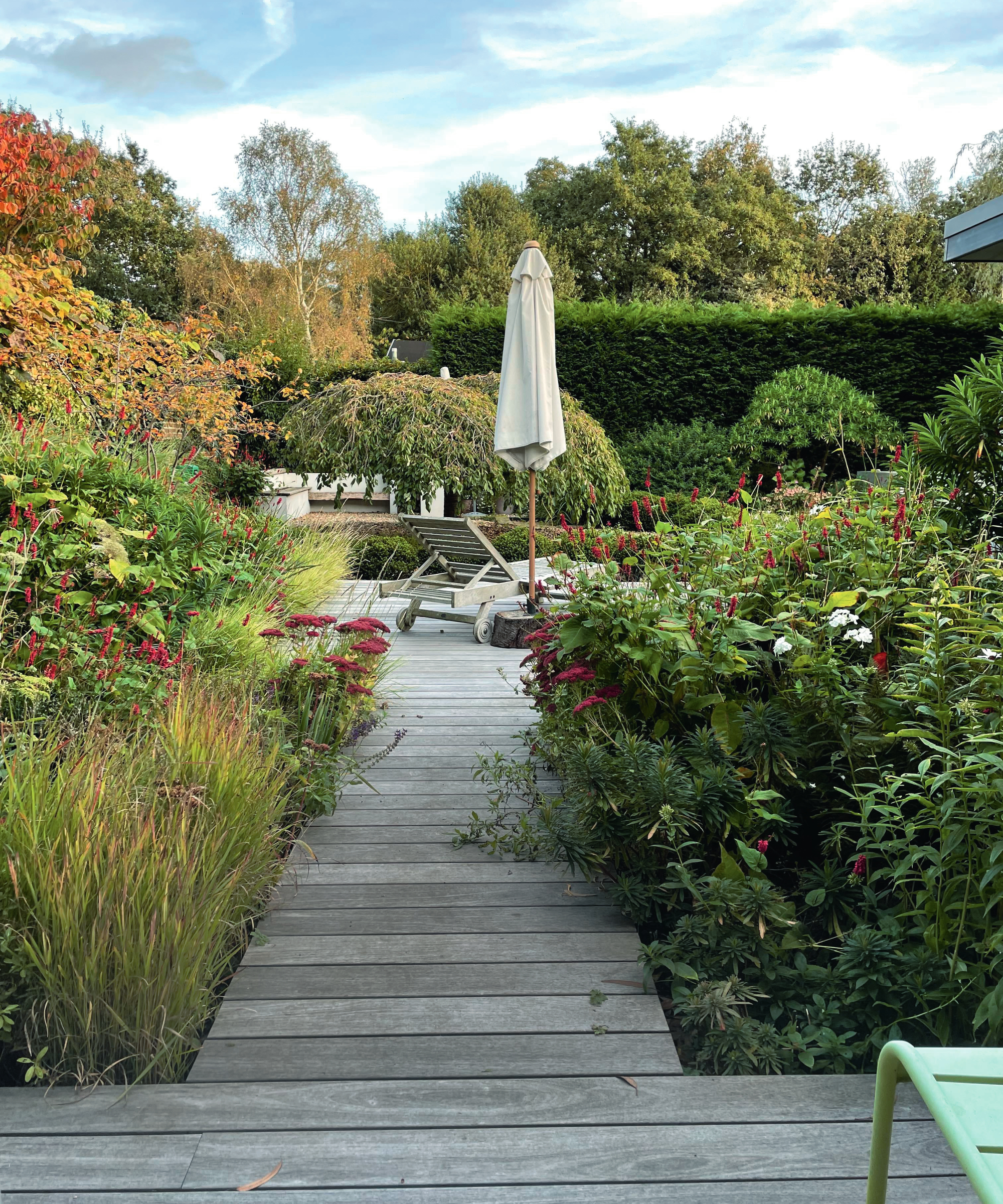 decked path with planted borders either side leading to seating area surrounded by hedges and plants