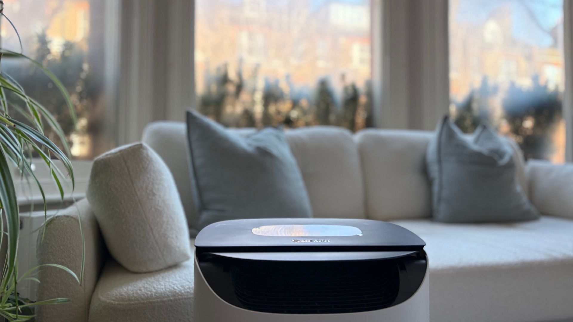 Testing the Meaco DD8L Pro Dehumidifier at home, with mist on the windows