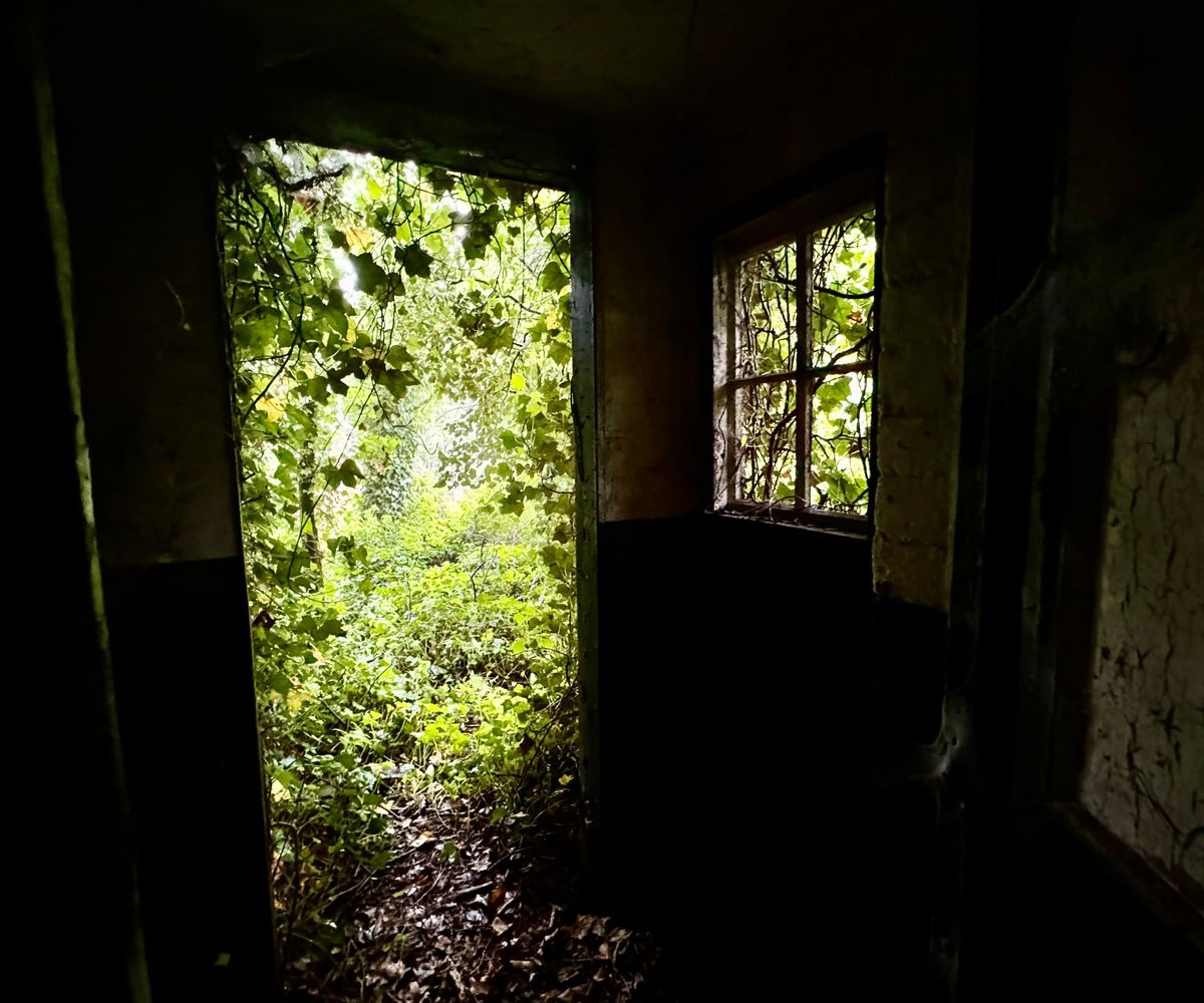 The front door of a house covered in ivy with no interior lighting