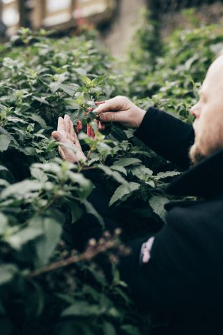 Wardruna Einar Selvik Foraging