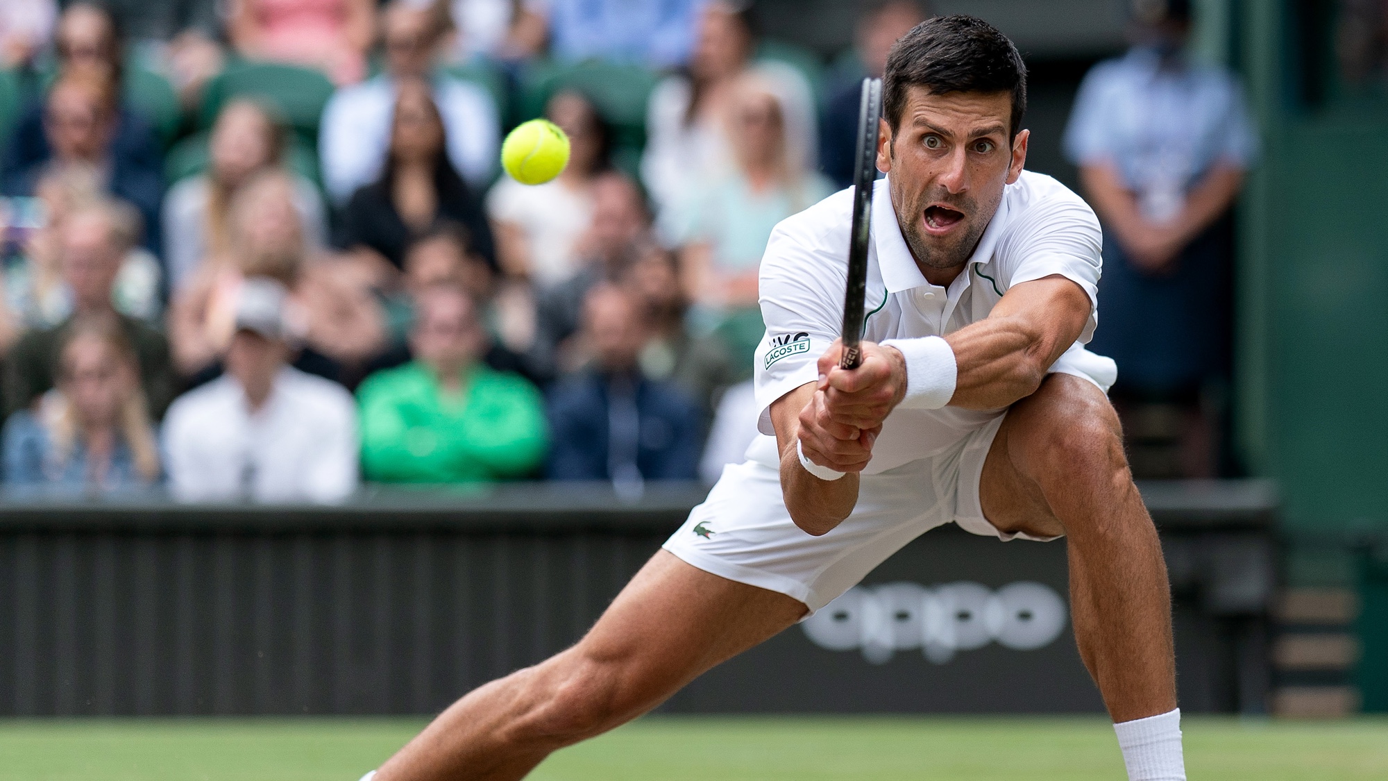 Novak Djokovic vs Denis Shapovalov live stream — how to watch Wimbledon match online Toms Guide