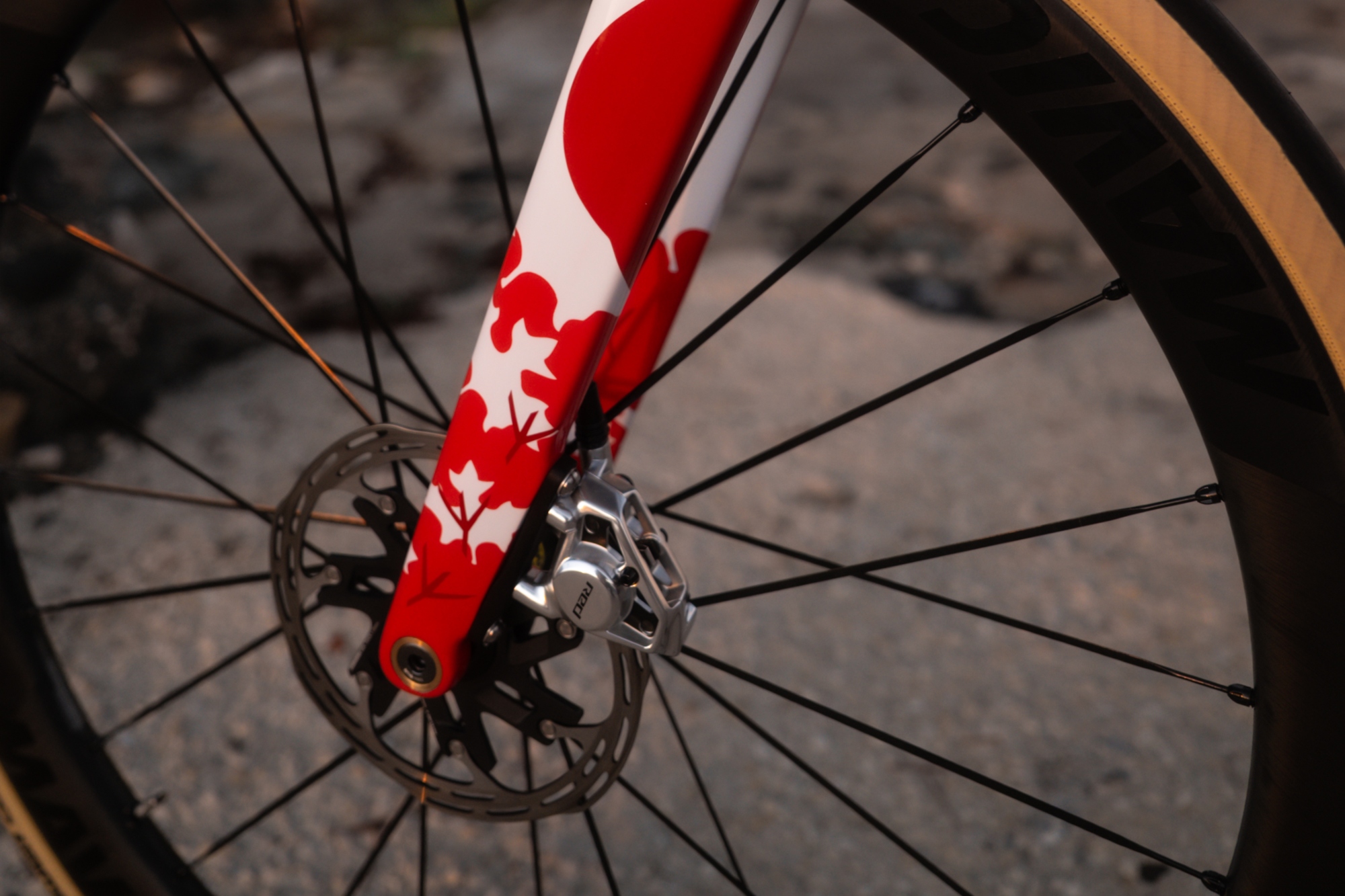 Alison Jackson's bike