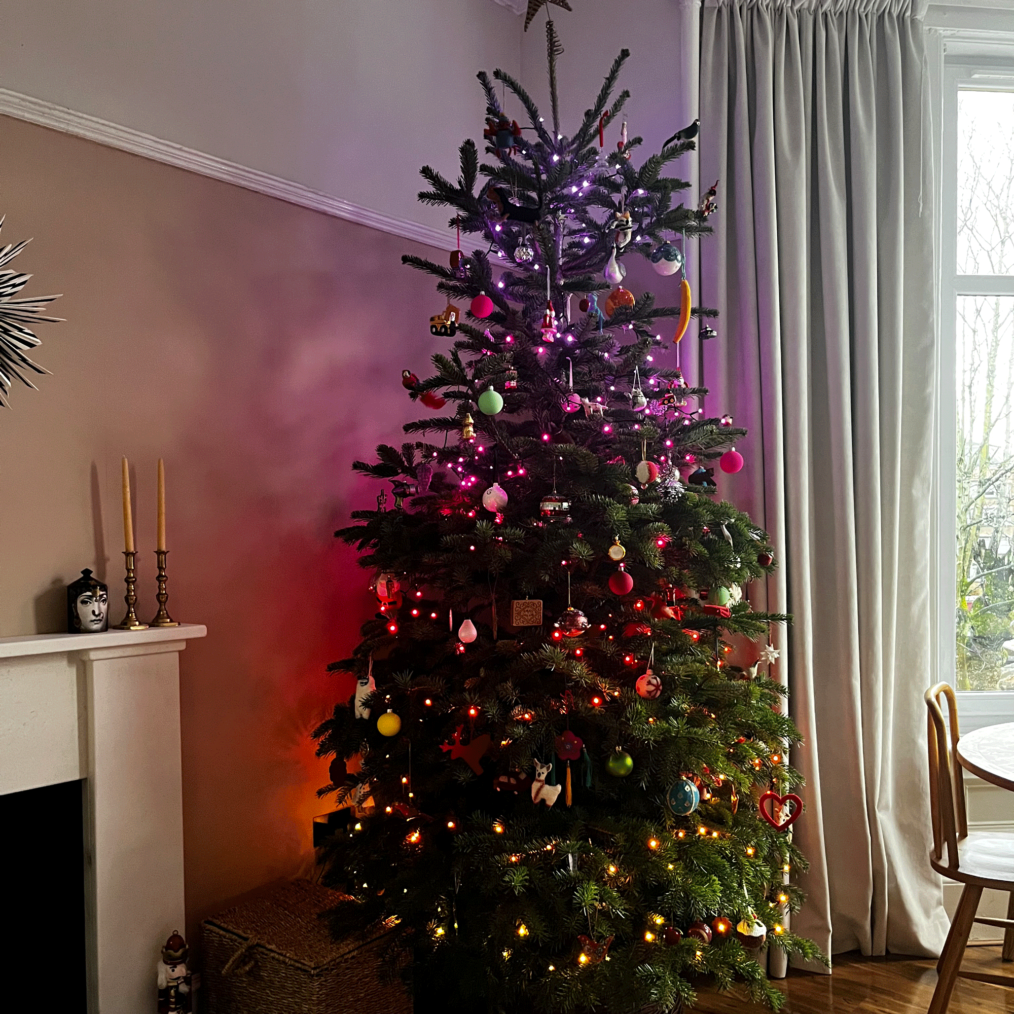Colour-changing Philips Hue Festavia string lights on a Christmas tree