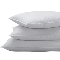 Shop The Marriott Feather and Down Pillow at Shop Marriott