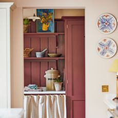 Red pantry with pink walls in a kitchen