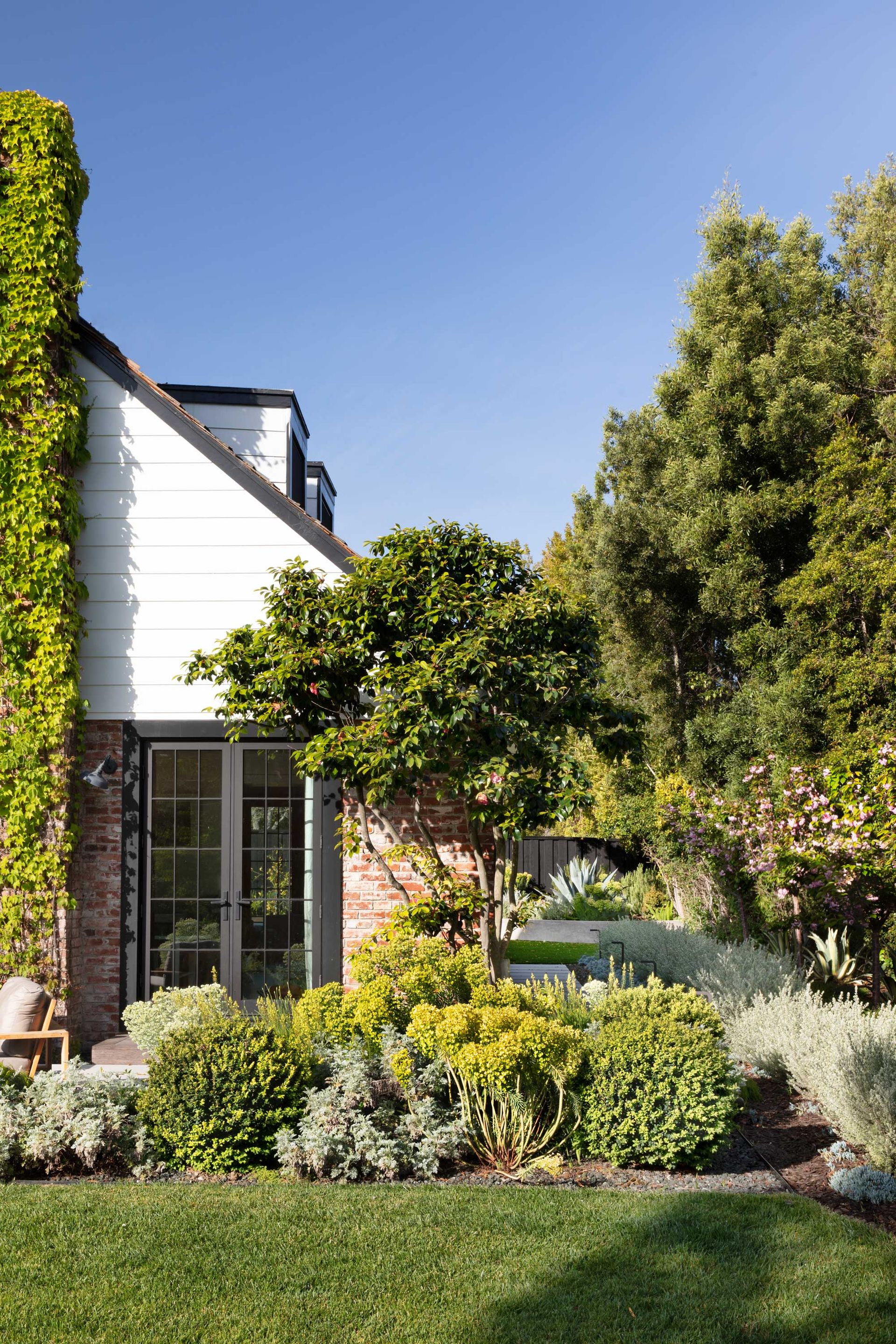 Halaman belakang dengan tanaman taman dewasa