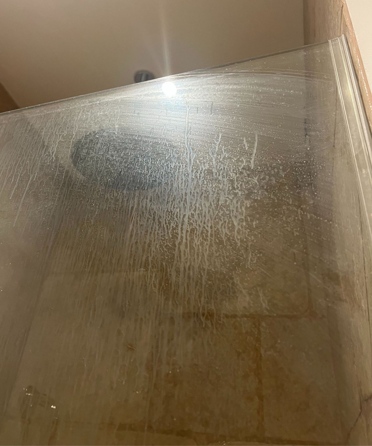A streaked and smudged shower screen