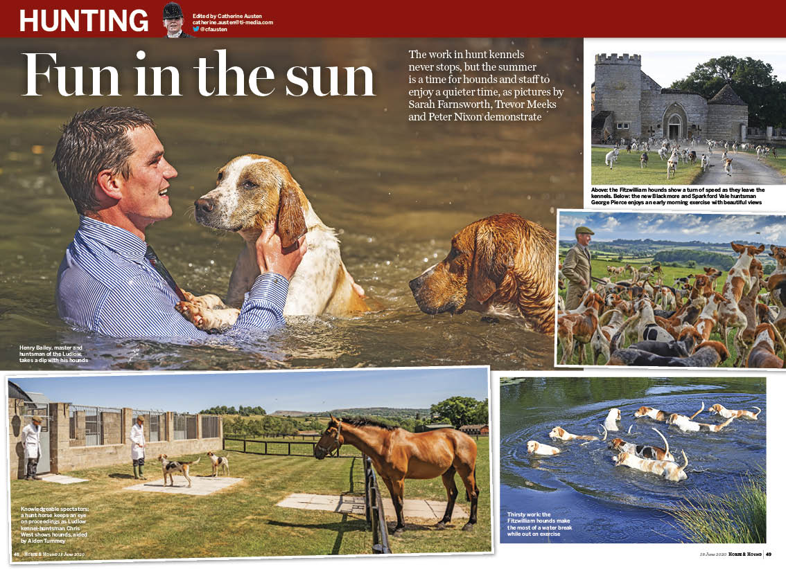 HT 4p hounds in the summer pics